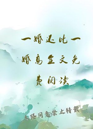 一婚还比一婚高全文免费阅读
