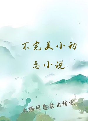 不完美小初恋小说