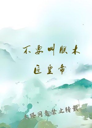 不要叫朕木匠皇帝