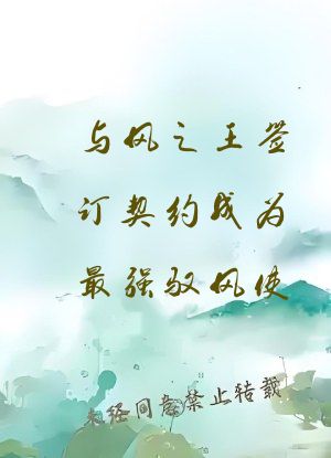 与风之王签订契约成为最强驭风使