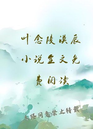 叶念陵漠辰小说全文免费阅读