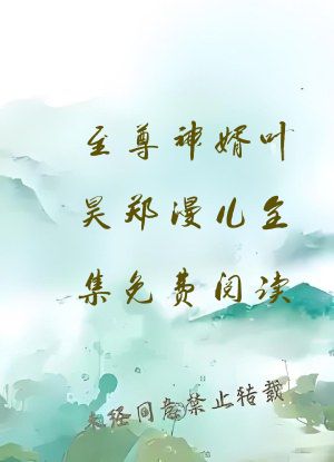 至尊神婿叶昊郑漫儿全集免费阅读